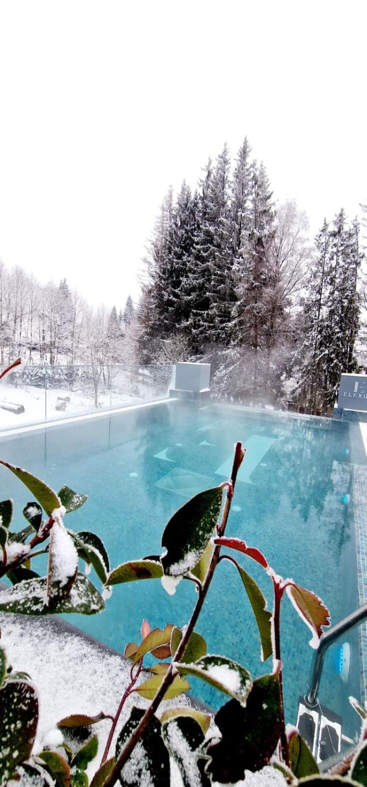 Elexus Boutique Hotel Predeal Exterior photo